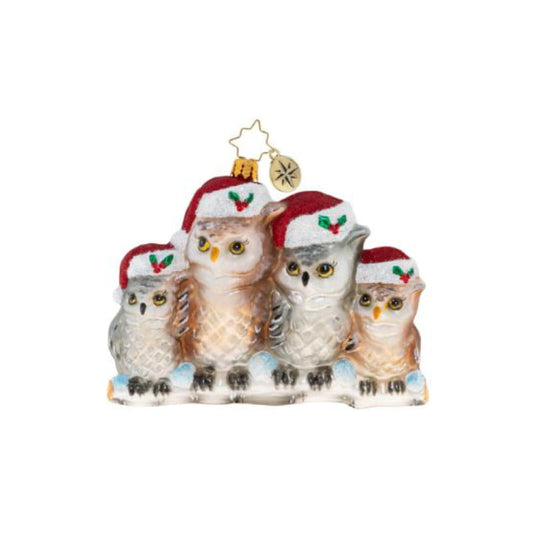 Christopher Radko-Owl in the Family Glass Ornament