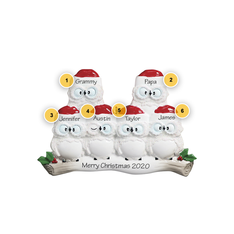 Owl Family of 6 Personalized Ornament