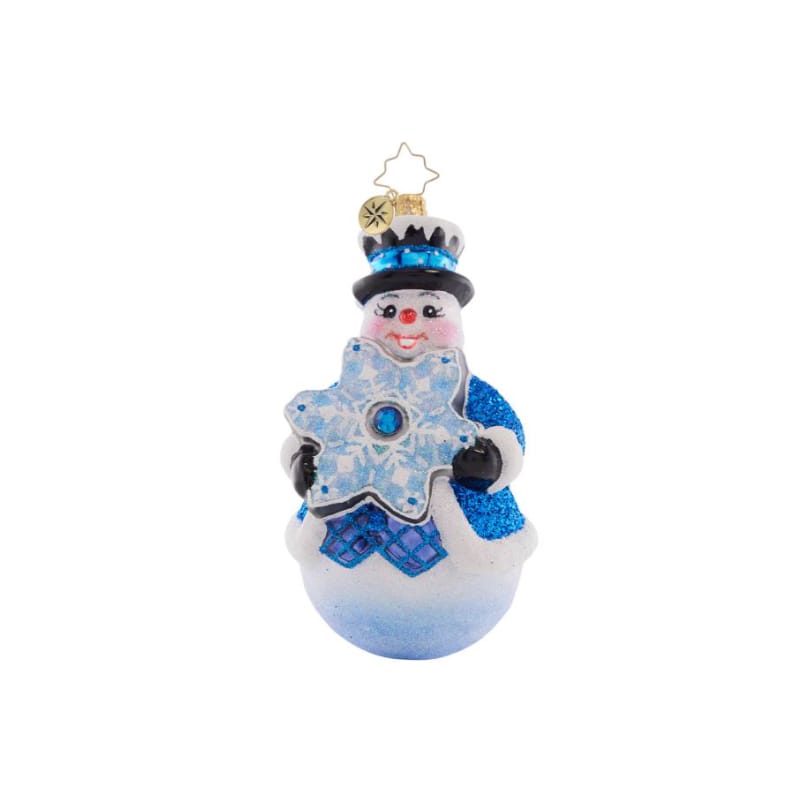 Christopher Radko -Flakey Frost Glass Ornament