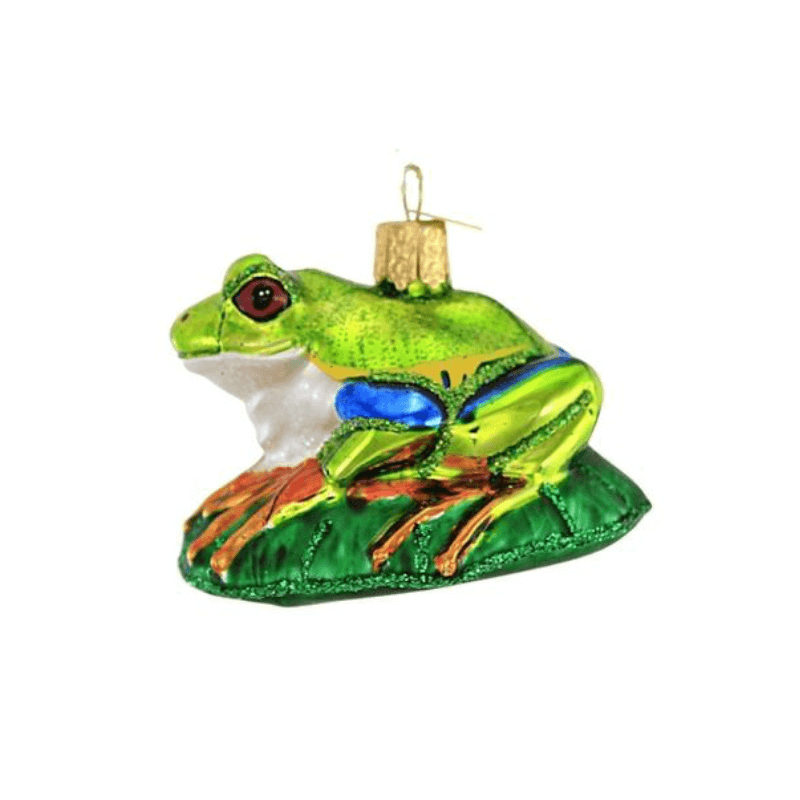 Red Eyed Tree Frog Glass Ornament