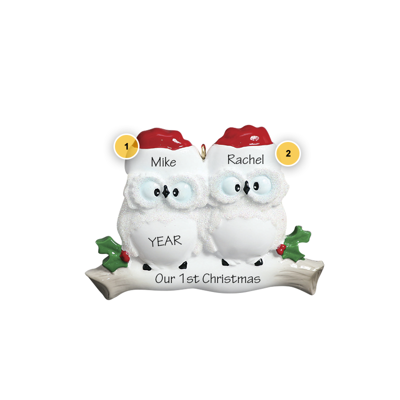 Owl Couple Personalized Ornament