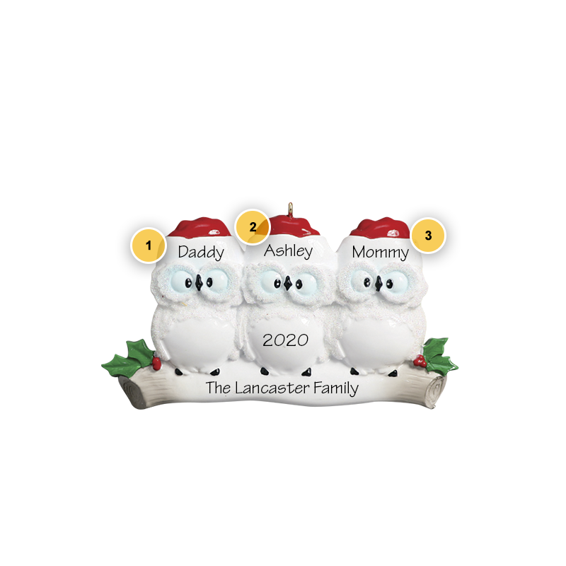 Owl Family of 3 Personalized Ornament